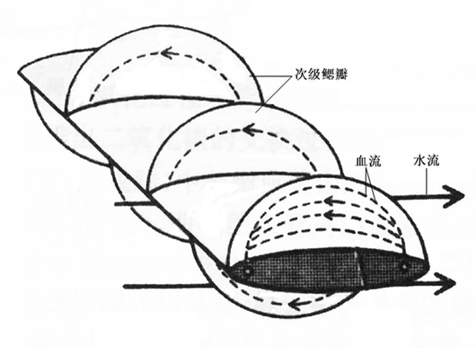 院内水流方向之最佳选择